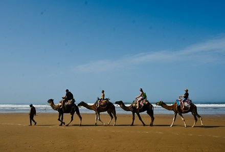 Marokko Summer - Family & Teens - Familie macht Kamelsausritt am Strand - Sidi Kaouki