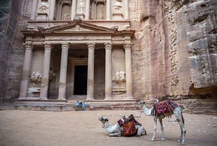 Jordanien mit Kindern - Jordanien Urlaub mit Kindern - Kamele in Petra