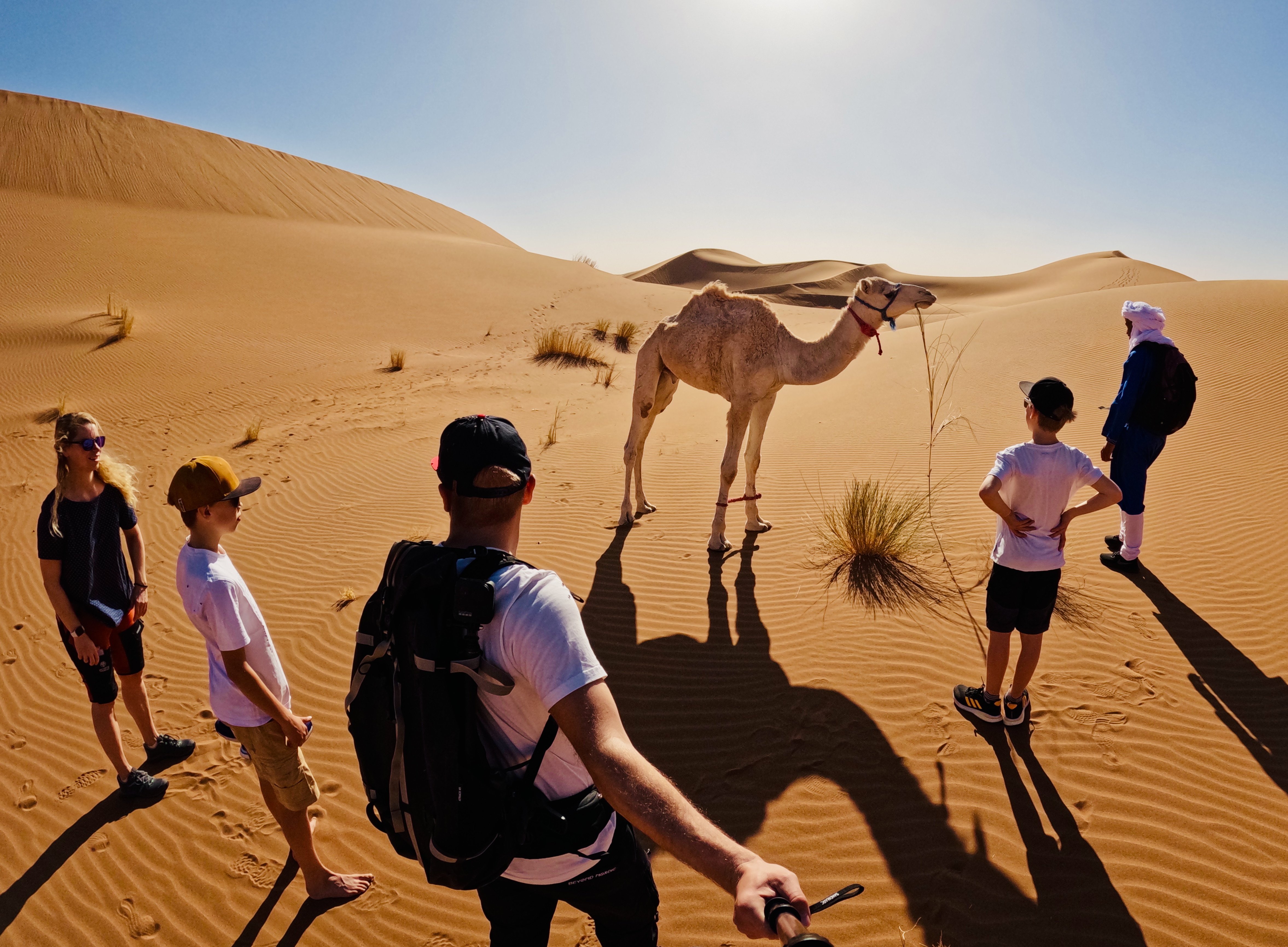 Aktivurlaub mit Kindern - Familien-Aktivurlaub - Wüstentrekking mit Kamelen in Marokko