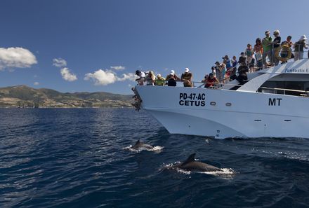 Azoren Familienreise - Azoren for family - Delfin- und Walbeobachtungstour