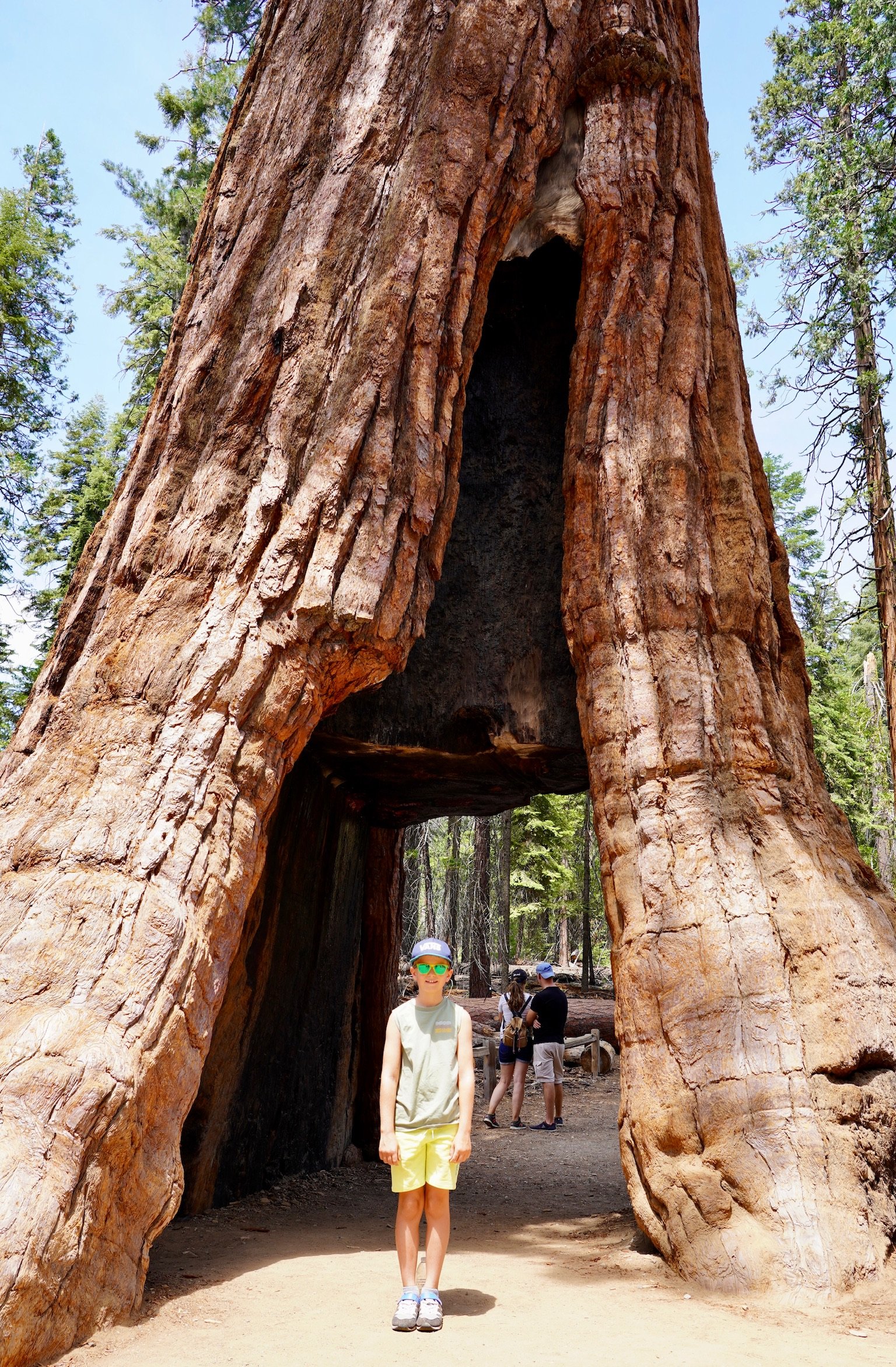 Kalifornien mit Kindern - Kalifornien Urlaub mit Kindern - Yosemite mit Kindern - Kind unter Mammutbaum