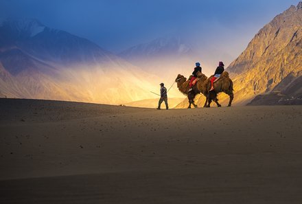 Ladakh mit Kindern - Ladakh Teens on Tour - Kamelritt