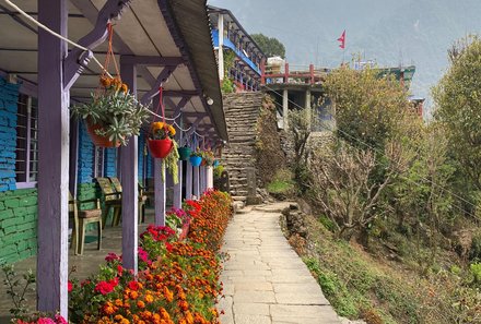 Nepal Familienreisen - Nepal for family - Teahouse mit Blumenbeet