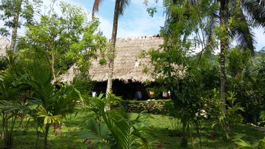 Ein traditionelles Strohdachhaus versteckt sich zwischen üppigem Grün und Palmen, umgeben von lebhaften Pflanzen.