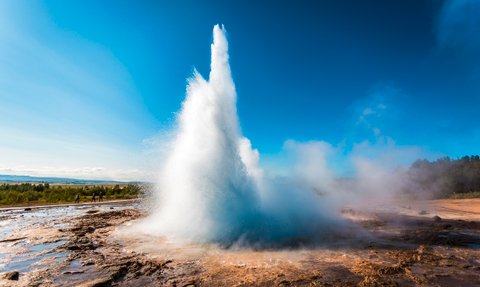 Ein beeindruckender Geysir sprudelt in die Höhe, umgeben von dampfenden Quellen und einer klaren blauen Himmel.