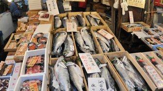 Ein geschäftiger Fischmarkt mit frischem Fisch in Holzkisten, umgeben von bunten Preisschildern und einem Verkäufer im Hintergrund.