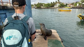 Ein Junge mit einem Rucksack beobachtet eine Seelöwin, die auf einem Steg am Wasser sitzt, umgeben von einer malerischen Kulisse.