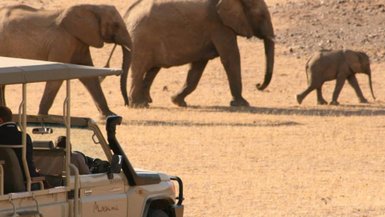 Eine Elefantenfamilie läuft direkt neben einem Safarijeep vorbei - Namibia Urlaub mit Kindern