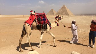 Kamel bei den Pyramiden von Gizeh in Kairo – Ägypten Reise mit Kindern