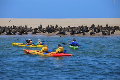 Drei Kayaks im Meer mit Robben im Hintergrund - Namibia Familienurlaub