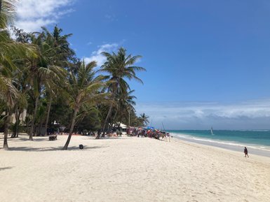 Ein sonniger Strand mit Palmen, wo Menschen entspannen und ein Segelboot in der Ferne auf dem Wasser fährt.