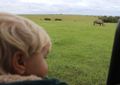 Baby schaut vom Safari-Jeep auf ein Nashorn im Botlierskop Private Game Reserve – Garden Route mit Kindern