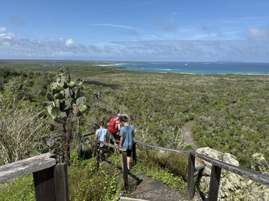 Eine Gruppe von Wanderern geht einen schmalen Pfad hinunter, umgeben von üppiger Vegetation und einem weiten Blick auf das Meer.