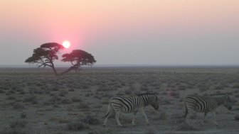 Die Sonne verschwindet am Horizont der Savanne - Namibia mit Kindern