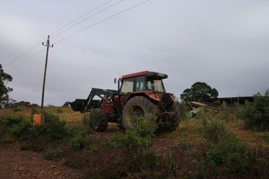 Ein roter Traktor steht auf einem Feld, umgeben von hohem Gras und bunten Blumen unter einem bewölkten Himmel.