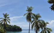 Küstenlandschaft mit feinem Sandstrand und Palmen - Panama Family & Teens - Panama mit Jugendlichen