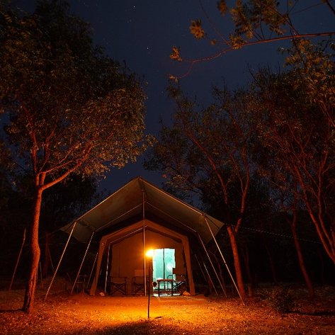 Sri Lanka Familienreise mit Kindern - Wilpattu - The Big Game Camp - Zelt Nachts