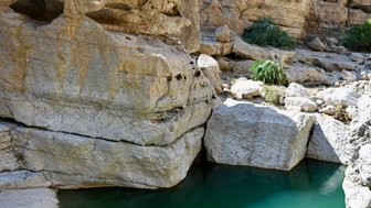 Klare Wasserbecken im Wadi Shab – Oman Reise mit Kindern