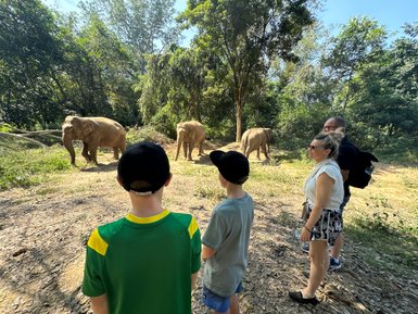 Begeisterte Familie schaut Elefanten in ihrer natürlichen Umgebung zu – Thailand mit Kindern