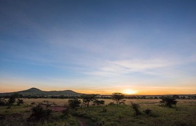 Ein atemberaubender Sonnenaufgang über der Serengeti, mit sanften Hügeln und vereinzelten Bäumen im Vordergrund.