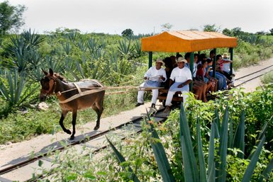 Kutschfahrt auf der historischen Hacienda Sotuta de Peón – Mexiko mit Kindern