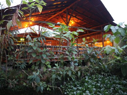 Ein rustikales Holzgebäude mit warmem Licht, umgeben von üppigem Grün und Pflanzen, schafft eine einladende Atmosphäre.