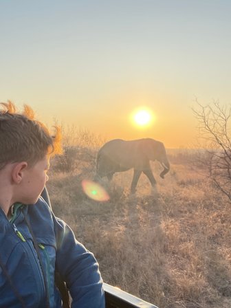 Kind sitzt im Safari-Jeep bei Sonnenuntergang und blickt auf einen Elefanten im Hintergrund – Südafrika Reise mit Kindern