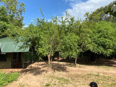 Sri Lanka Familienreise mit Kindern - Wilpattu - The Big Game Camp