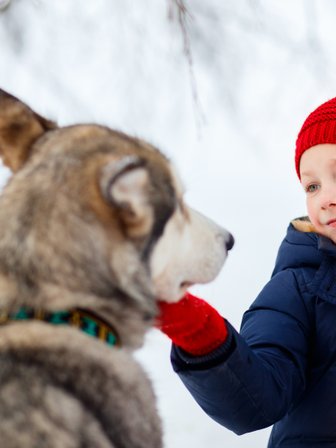 Mädchen mit Husky im Schnee - Estland mit Kindern