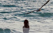 Kind steht im Wasser und Vögel fliegt vorbei - Galapagos Family & Teens - Galapagos mit Kindern und Jugendlichen
