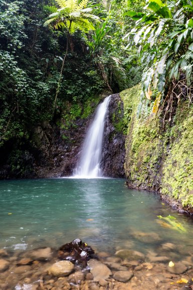 Ein sanfter Wasserfall fließt über moosbedeckte Felsen in einen klaren, türkisfarbenen Pool, umgeben von üppigem Grün.