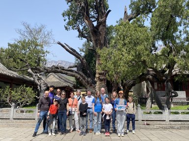 Eine Gruppe von Menschen steht lächelnd vor einem beeindruckenden alten Baum in einer historischen Umgebung.