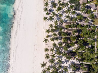 Eine Luftaufnahme zeigt einen weißen Sandstrand, gesäumt von Palmen und einem klaren, türkisfarbenen Wasser im Hintergrund.