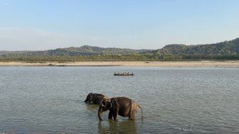 Zwei Elefanten stehen im Wasser eines ruhigen Flusses, umgeben von grünen Hügeln und klarem Himmel.