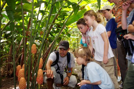 Eine Gruppe von Kindern und einem Erwachsenen erkundet neugierig die exotischen Pflanzen im dichten Dschungel von Costa Rica.