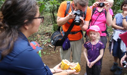Reisegruppe entdeckt Kakaofrucht bei La Tirimbina – Costa Rica Familienreise