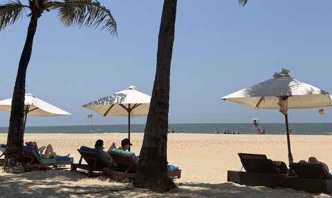 Am Strand von Goa entspannen Menschen auf Liegen unter Sonnenschirmen, umgeben von Palmen und dem blauen Himmel.