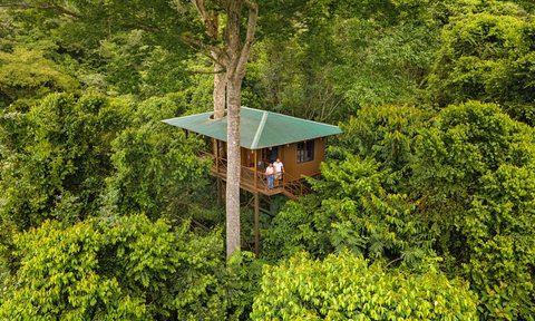 Costa Rica Familienreise mit Kindern - Boca Tapada - Maquenque Eco Lodge Deluxe - Baumhaus