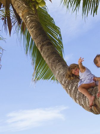 Drei fröhliche Kinder sitzen auf einem dicken Baumstamm, umgeben von Palmen und strahlend blauem Himmel.
