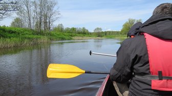 Ein Paddler in einem Kanu genießt die ruhige Wasseroberfläche eines Flusses, umgeben von üppigem Grün.