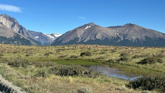 Eine weite Landschaft in Patagonien mit majestätischen Bergen und einer Gruppe von Lamas, die friedlich grasen.