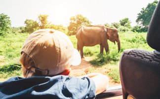 Junge im Jeep beobachtet einen Elefanten in der grünen Landschaft – Sri Lanka Reise mit Kindern