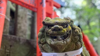Ein steinerner Löwenhund mit einem bunten, gemusterten Gewand steht vor roten Torii-Toren in einer grünen Umgebung.