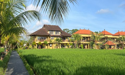Ein malerischer Weg führt durch üppige Reisfelder zu einem charmanten Resort mit traditionellen balinesischen Dächern.