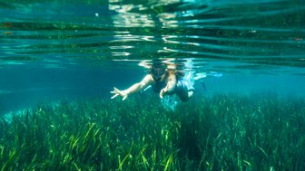 Eine Person schwimmt unter Wasser und streckt die Hände aus, um die üppige Unterwasservegetation zu erkunden.