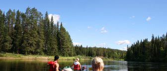 Drei Personen im Kanu paddeln auf einem ruhigen Fluss, umgeben von dichten, grünen Wäldern und klarem blauen Himmel.
