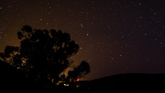 Ein dunkler Himmel voller funkelnder Sterne, mit einem silhouettierten Baum im Vordergrund und sanften Hügeln im Hintergrund.
