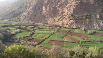 Eine weite, grüne Landschaft mit terrassierten Feldern und sanften Hügeln, die von Bergen umgeben sind.