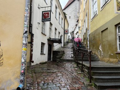 Eine Frau mit einem pinken Regenschirm geht eine steile, gepflasterte Straße in der Altstadt von Tallinn entlang.