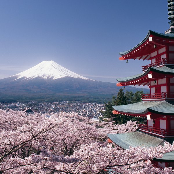 Der Fuji erhebt sich majestätisch hinter der roten Chureito-Pagode, umgeben von blühenden Kirschbäumen.
